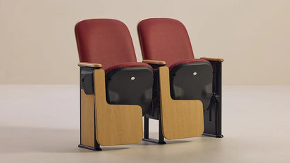 Auditorium Seating 2