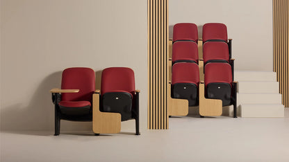 Auditorium Seating 2